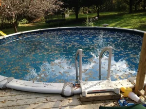 Maintenance and Hassle of Owning a Typical In Ground Pool